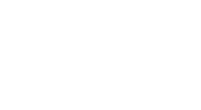 VIRA logo